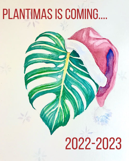 PLANTiMAS 2022-2023 🎁 DETAILS BELOW!