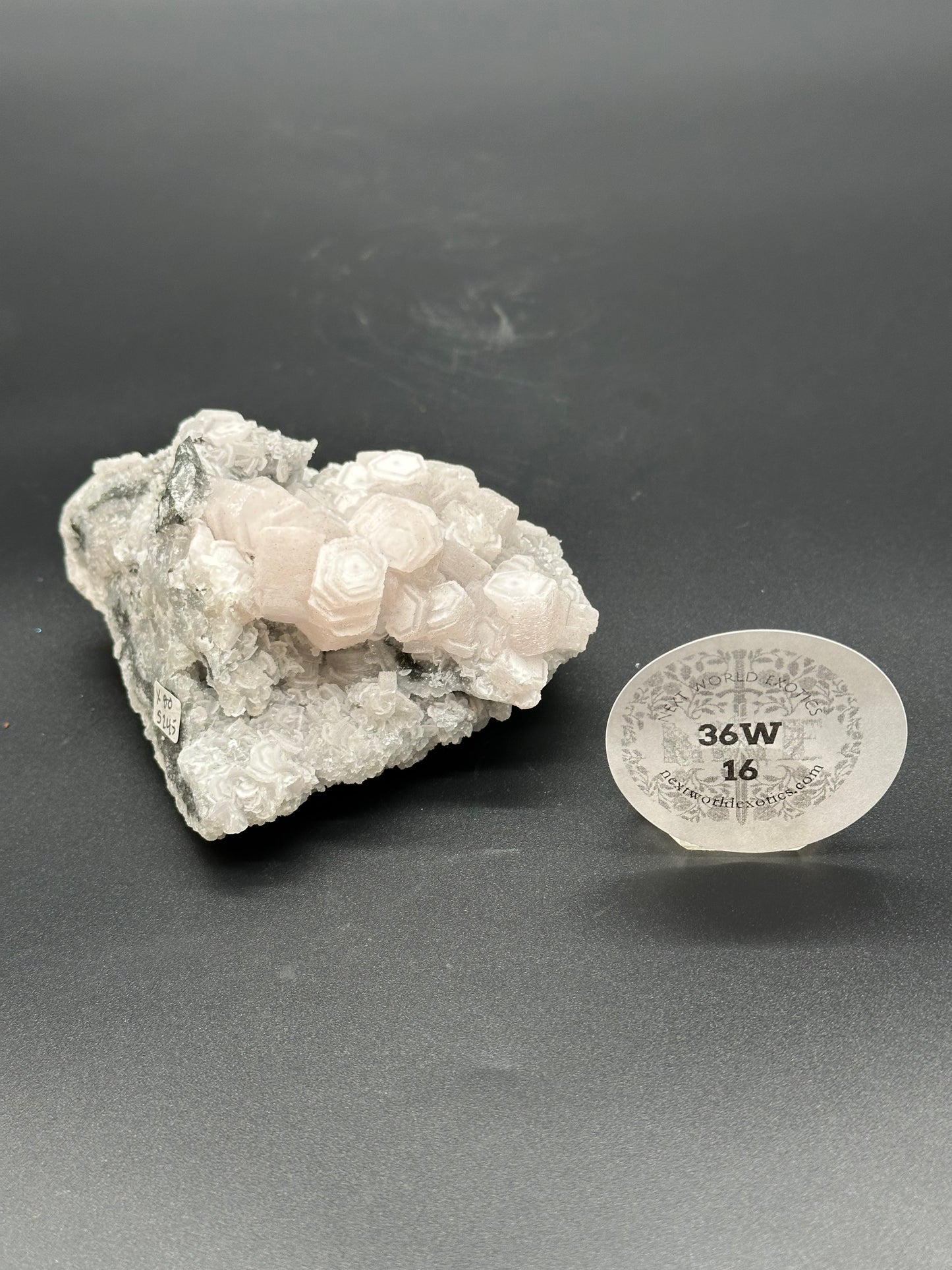 Coin Calcite (36W16) displayed as a white rock with a round white label, emphasizing its mineral characteristics.