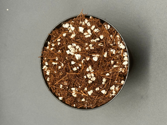 TreeLite Premium New Zealand Tree Fern Fiber Mix displayed in a pot with brown dirt and white rocks, ideal for anthuriums and aroids.
