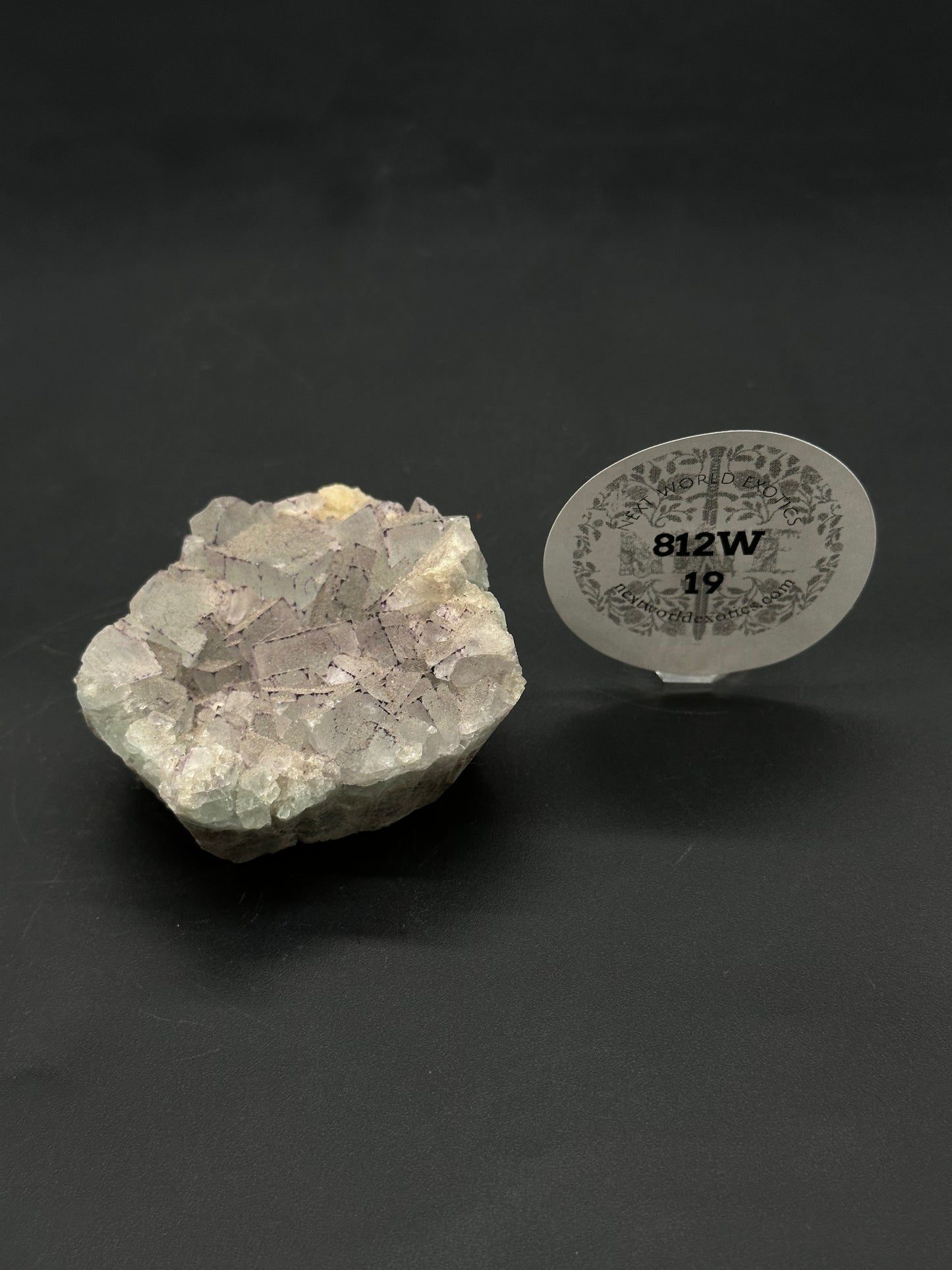 QR Code Fluorite (812W19) features intergrown cubic crystals with a display label marked “New World Exotics,” highlighting its mineral specimen authenticity.