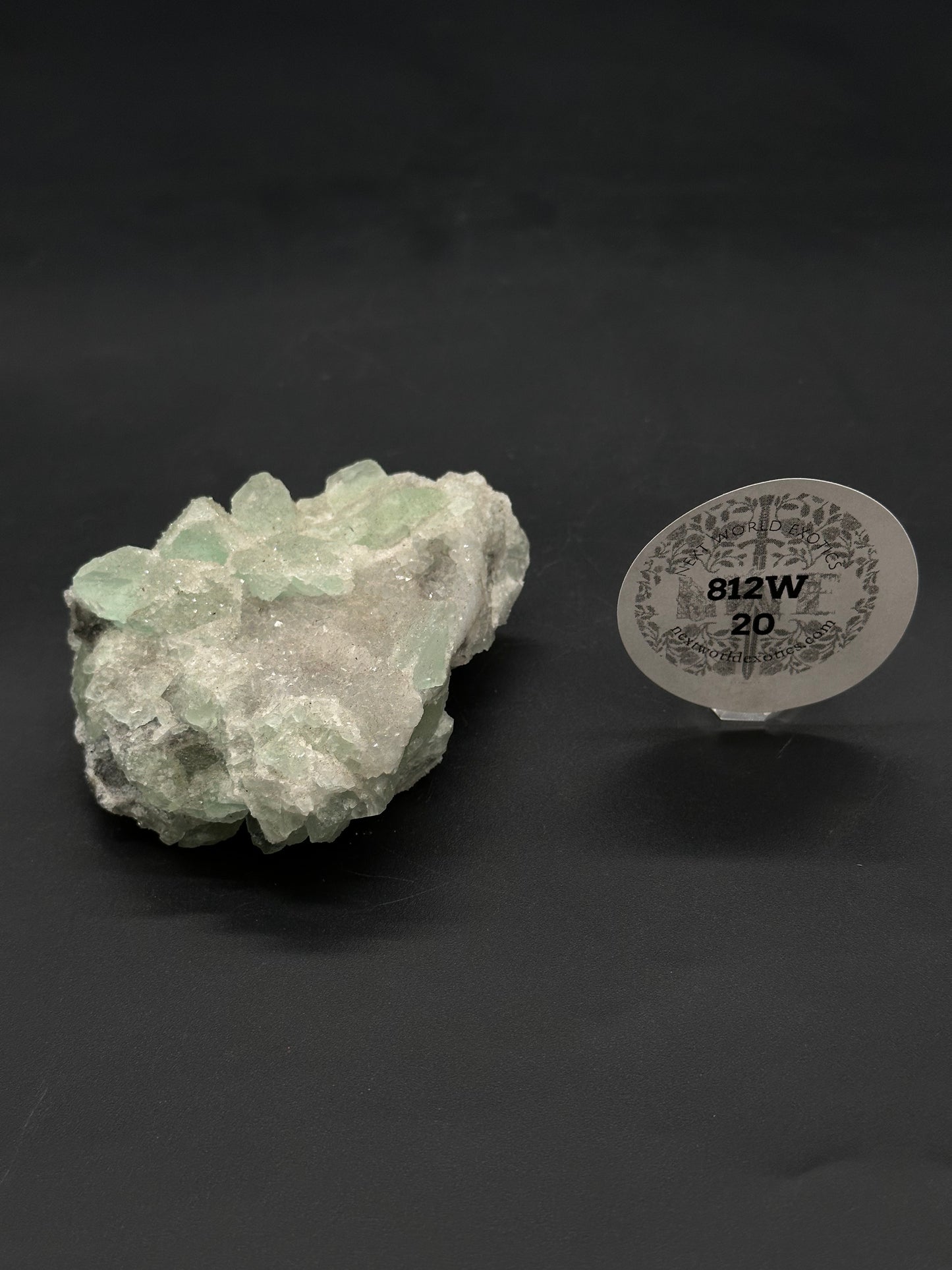Sugar Fluorite (812W20) mineral specimen with drusy white matrix and translucent green crystals, accompanied by a New World Exotics display tag.