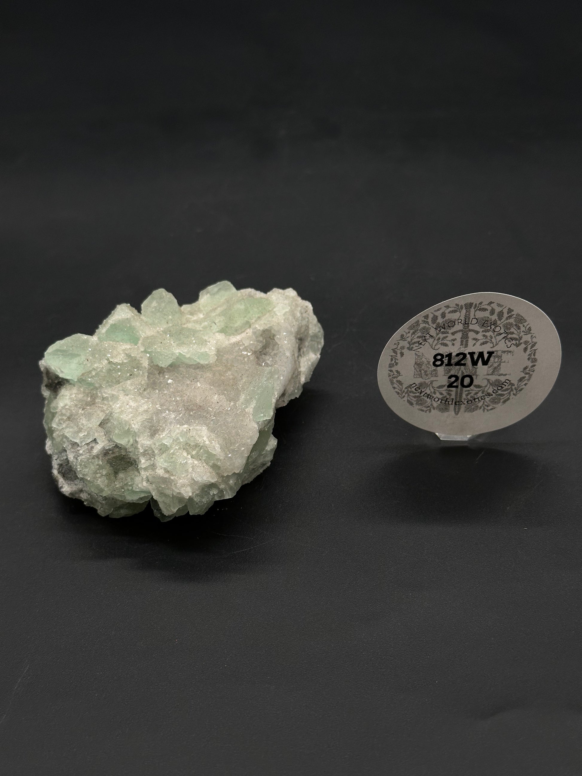 Sugar Fluorite (812W20) mineral specimen with drusy white matrix and translucent green crystals, accompanied by a New World Exotics display tag.