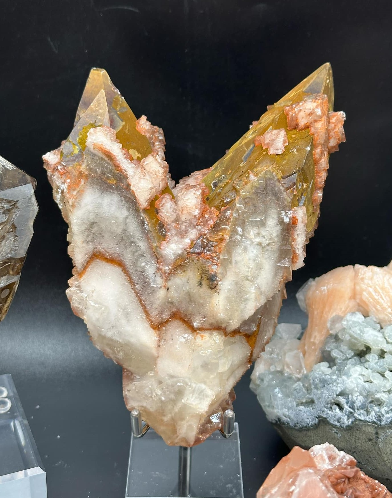 Crystals Next World Exotics Rare Plants, Minerals, and More