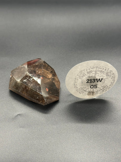 Rutilated Smokey Garden Quartz (213W05), featuring a close-up of the crystal alongside a sticker with text and numbers, highlighting its intricate mineral textures.