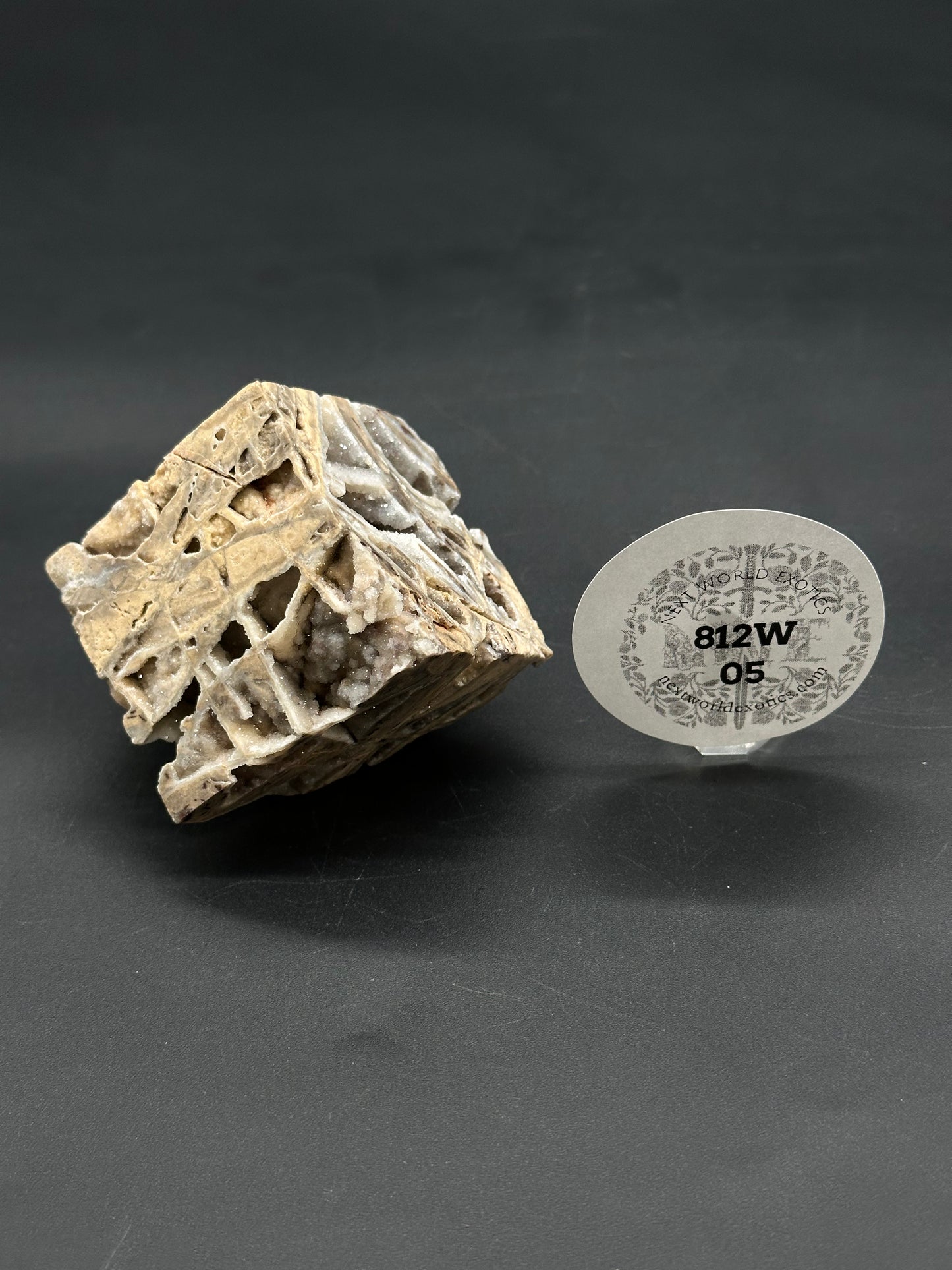 Sphalerite Cube (812W05) features a cube-shaped mineral with angular cavities lined with drusy crystals, displayed on a tabletop with a clear label from New World Exotics.