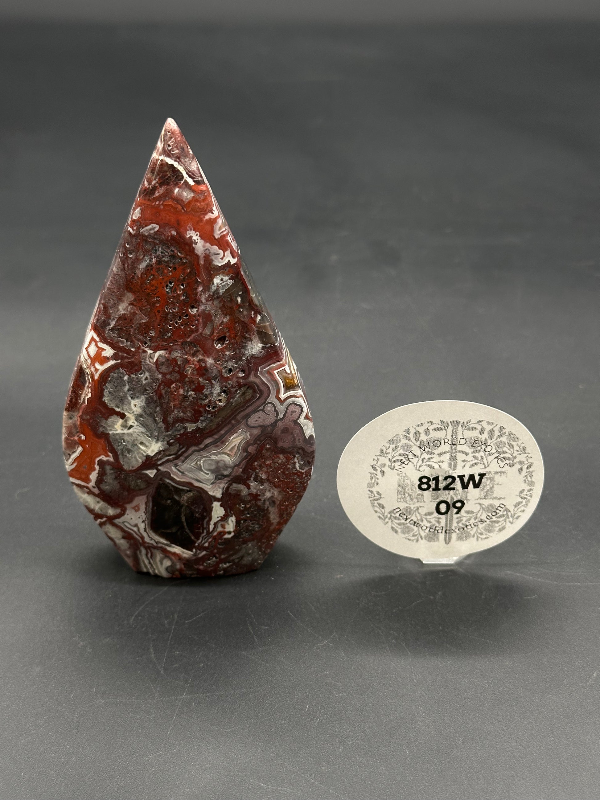 Mexican Crazy Lace Agate Free Form (812W09) on black surface, showcasing deep banding and pitting. An acrylic stand with label 812W 09 beside it.