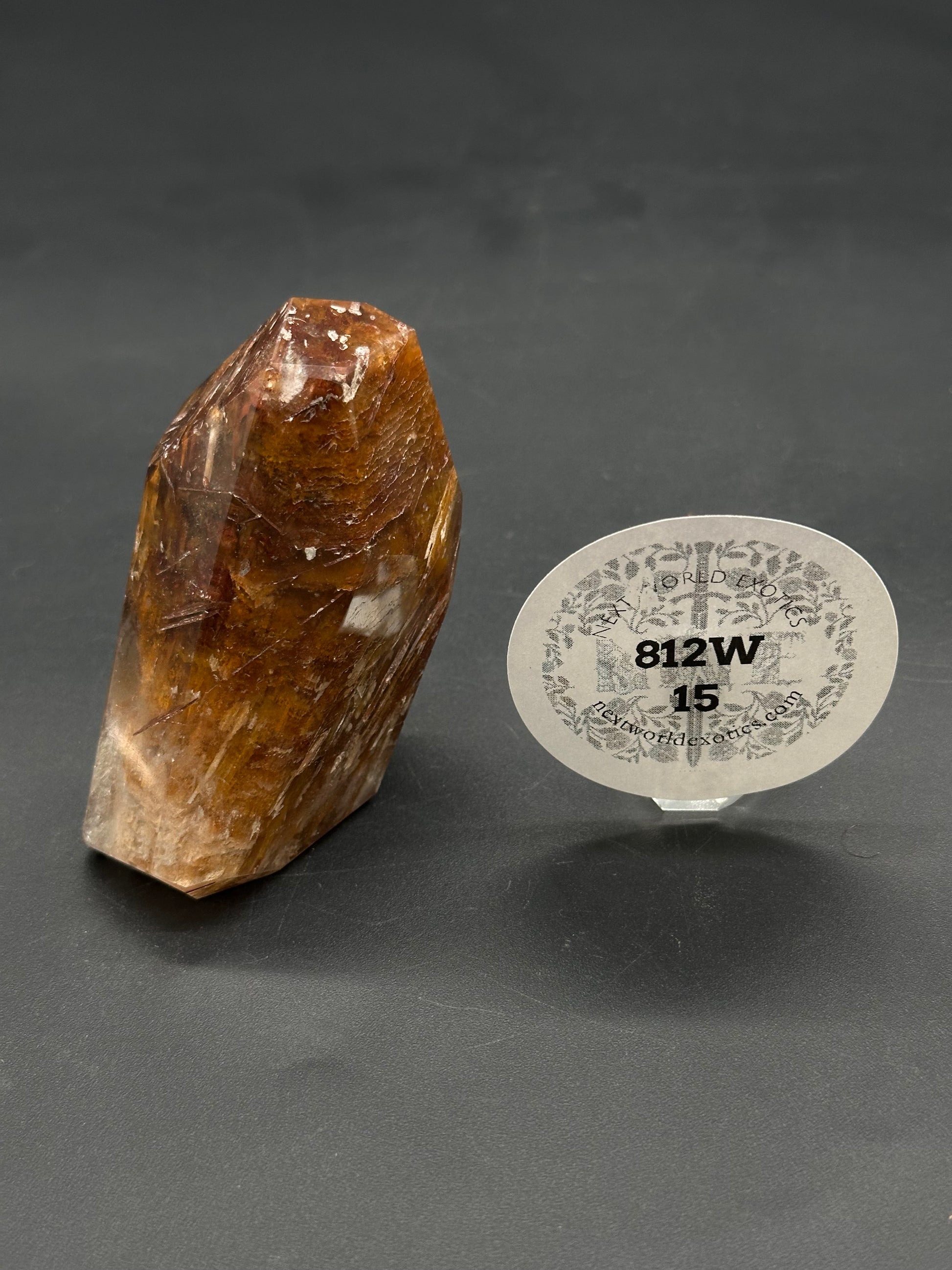 Rabbits Hair Quartz (812W15) crystal point on black tabletop, accompanied by a Next World Exotics product tag indicating it's a catalogued mineral specimen.
