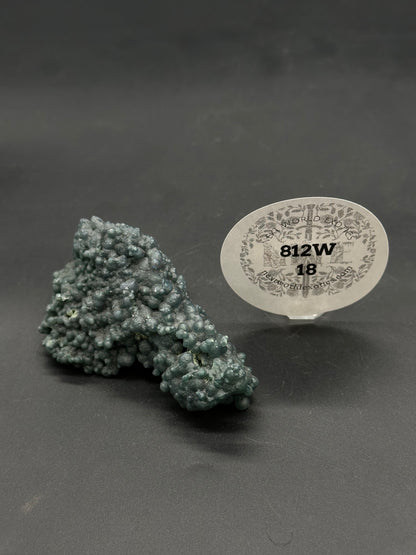 Grape Agate (812W18) mineral specimen with rounded, grape-like bumps on a dark surface, labeled “New World Exotics, 812W-18” on an adjacent stand.