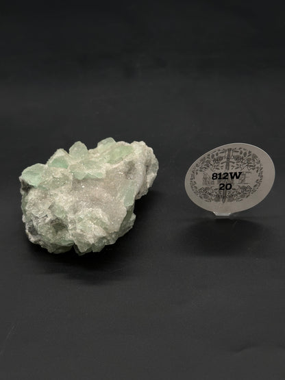 Sugar Fluorite (812W20) mineral specimen with drusy white matrix and translucent green crystals, accompanied by a New World Exotics display tag.