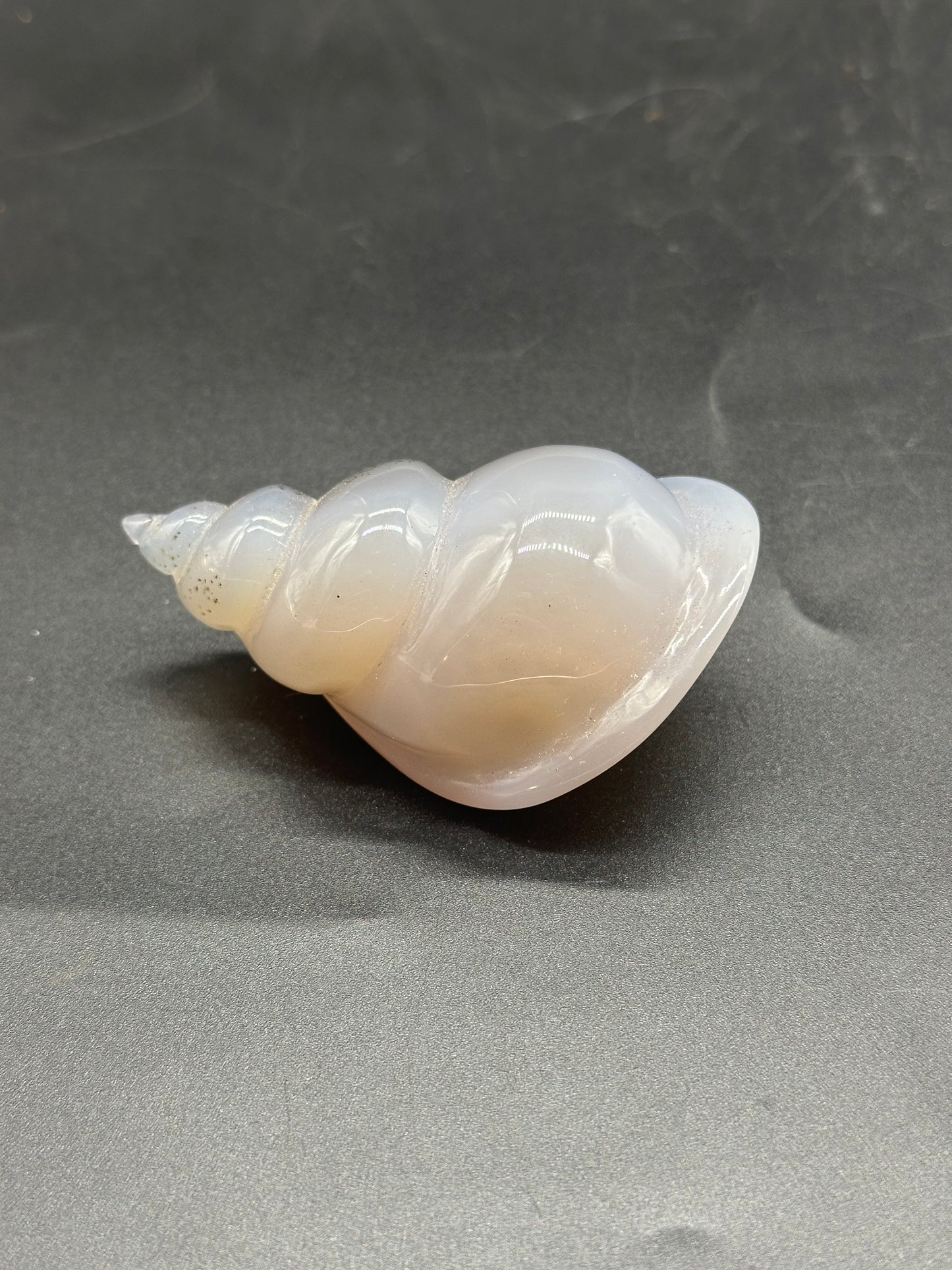 Agate Sea Shell Carving (1024W49) intricately crafted, showcasing delicate invertebrate-inspired design, placed on a textured surface, highlighting its fine details and natural elegance.