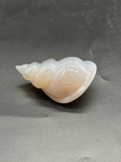 Agate Sea Shell Carving (1024W49) intricately crafted, showcasing delicate invertebrate-inspired design, placed on a textured surface, highlighting its fine details and natural elegance.