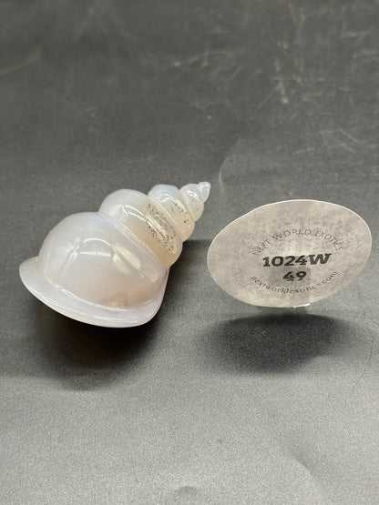 Agate Sea Shell Carving (1024W49) featuring a detailed white shell carving, accompanied by a round label on a grey surface.