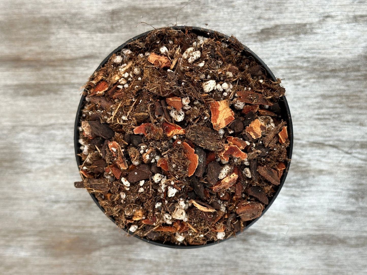 Bowl of soil with small rocks and pebbles, part of the Anthurium Magic #5 (Not Poo Mix) Substrate.