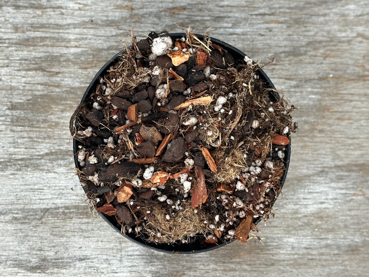 Black bowl containing Anthurium Magic #7 (Not Poo Mix) Substrate, featuring a blend of dirt and rocks for plant soil enhancement.