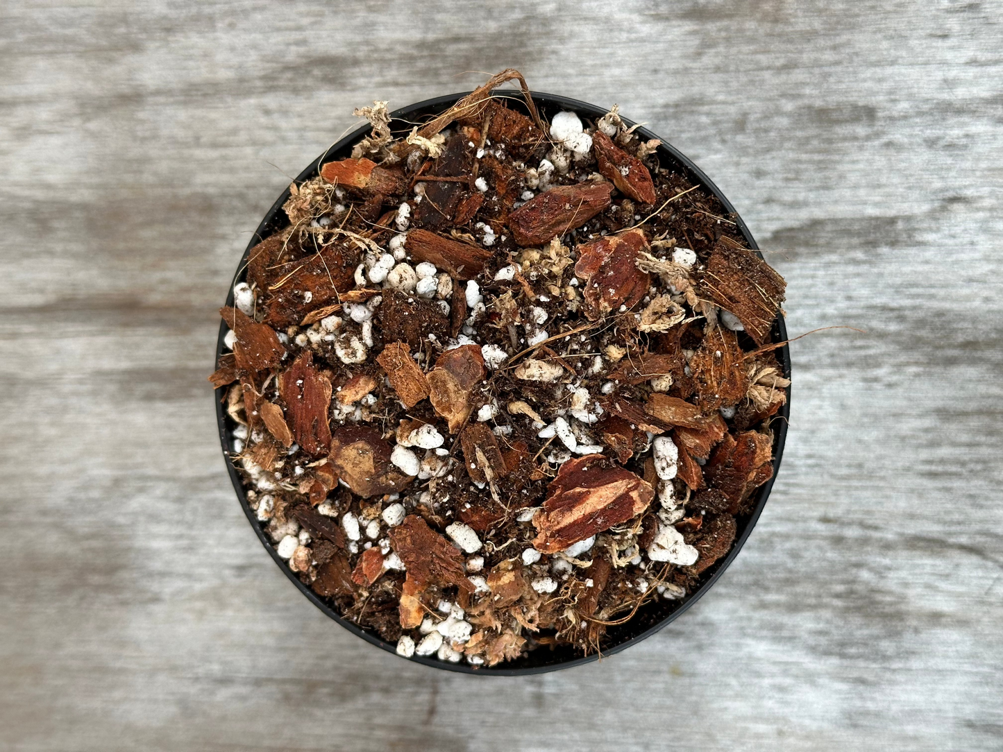 A black bowl filled with Aroid #1 Substrate, a mix of brown and white bark, ideal for fast-draining yet moisture-retentive plant soil.