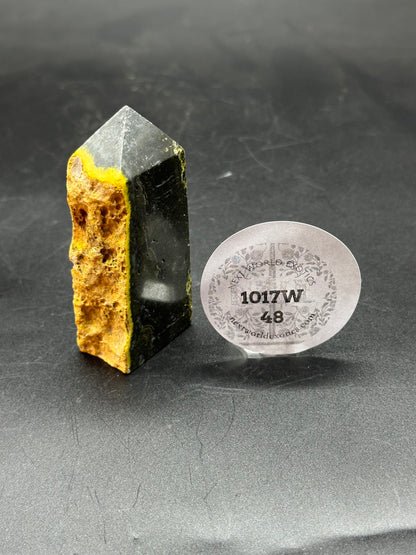 Bumble Bee Jasper (1017W48) featuring a distinctive round white circle on its black and yellow surface, with visible text on a nearby sticker.