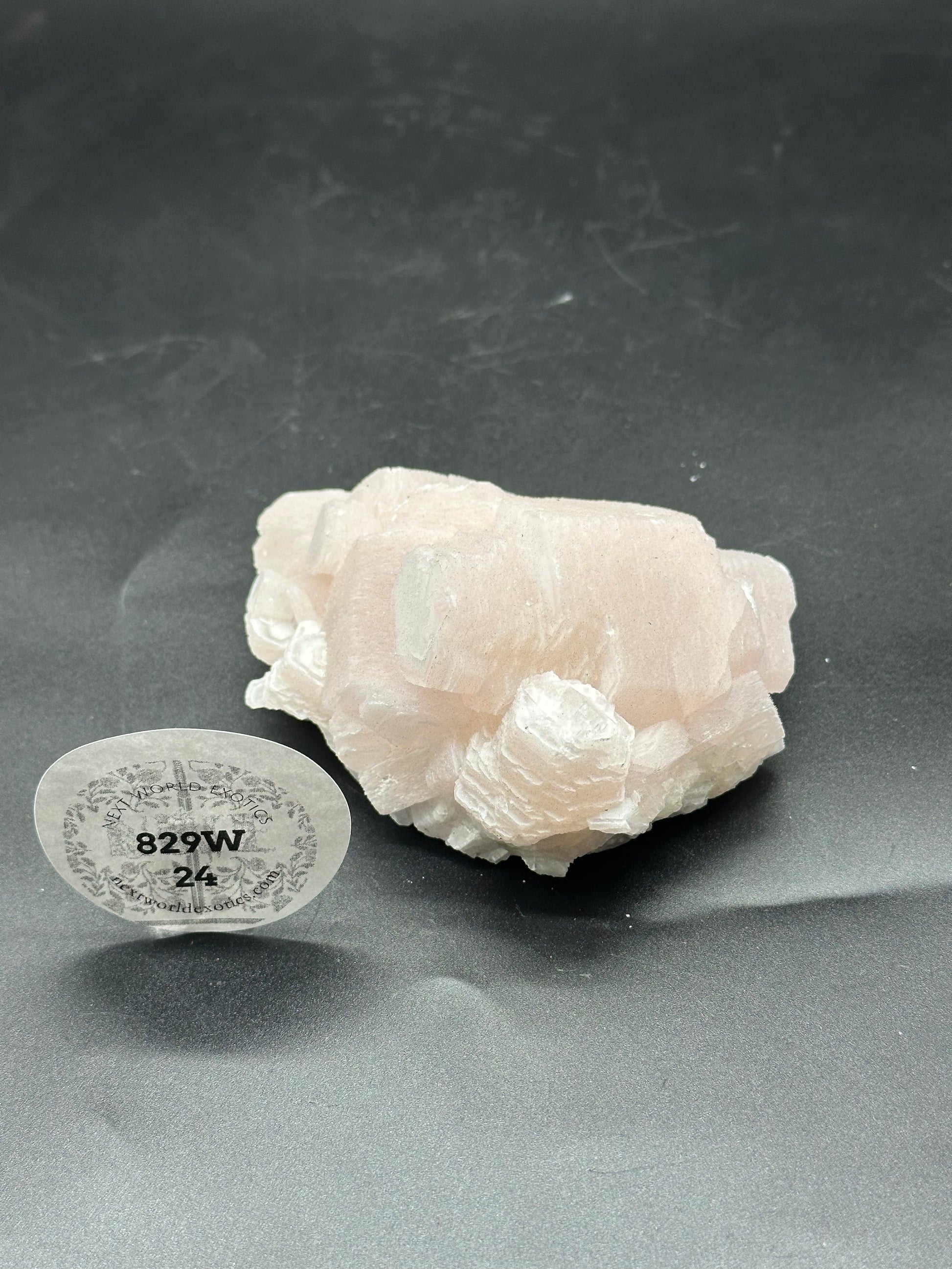 Coin Calcite (829W24) - a white mineral rock featuring a round label with black text, suitable for decor, jewelry, and personal collections.