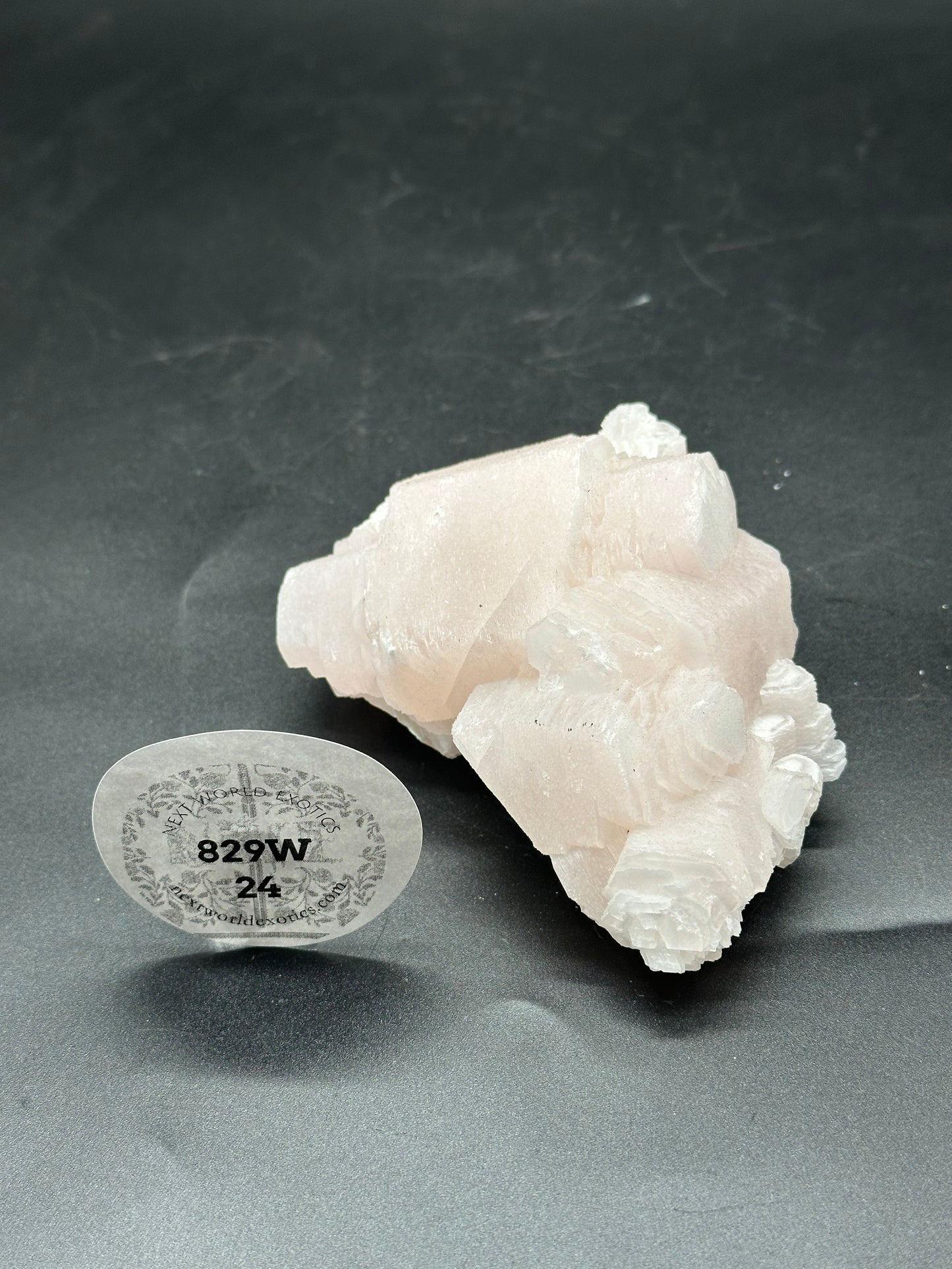 Coin Calcite (829W24) - A close-up of a white calcite crystal with a round label attached, highlighting its intricate natural formations.