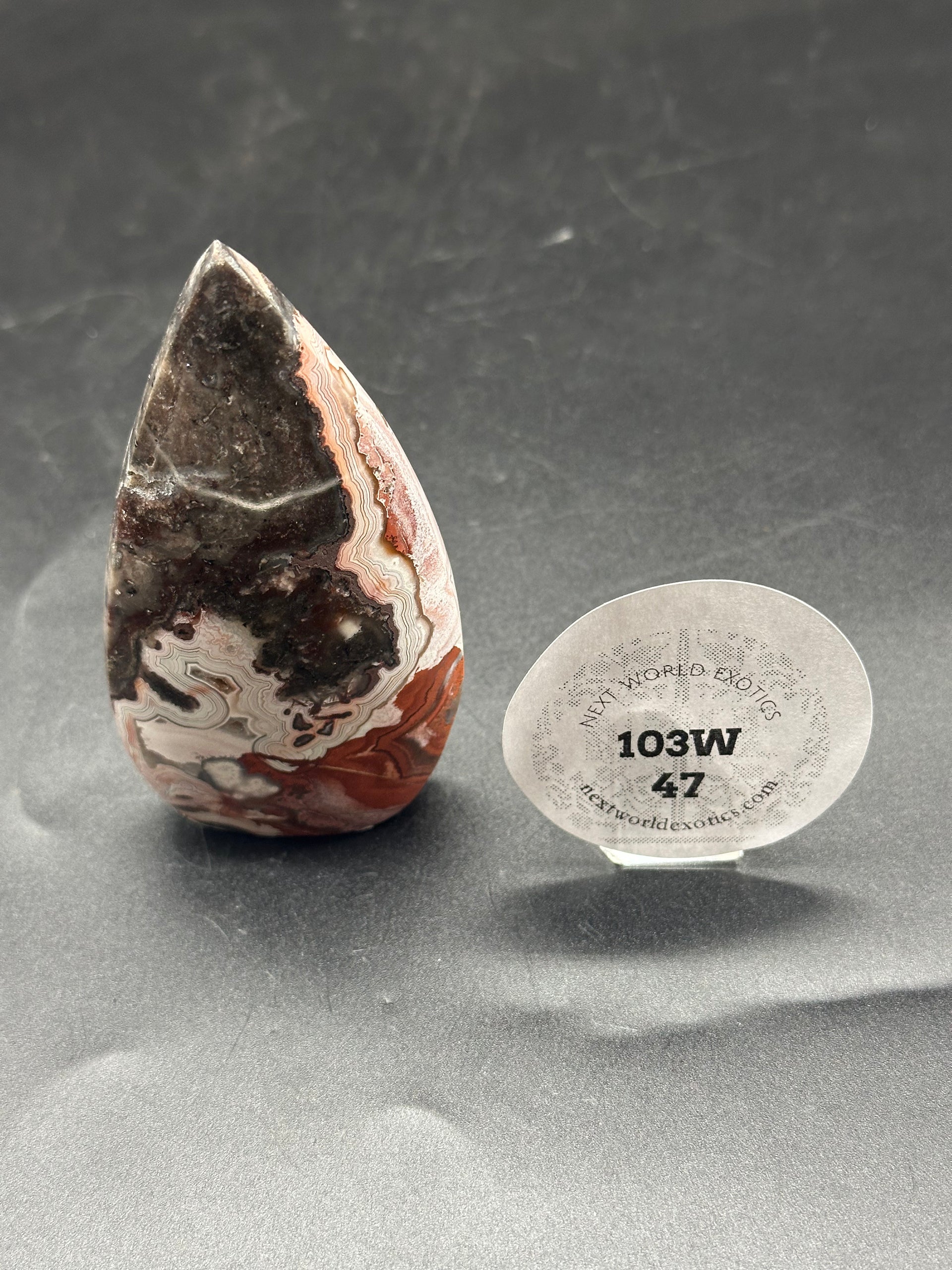 Mexican Crazy Lace Agate Free Form (103W47) – Next World Exotics
