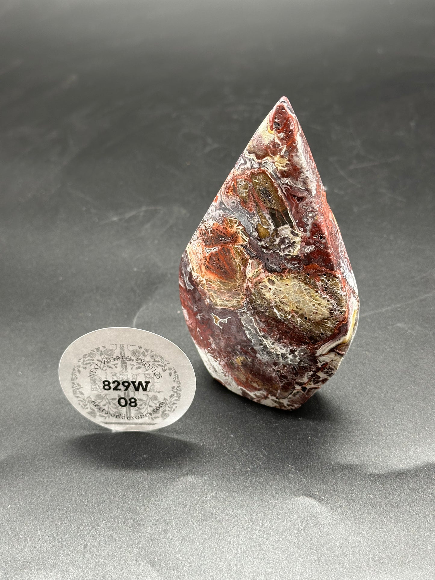 Mexican Crazy Lace Agate Freeform (829W07) - close-up of a polished stone with intricate patterns and a round label.