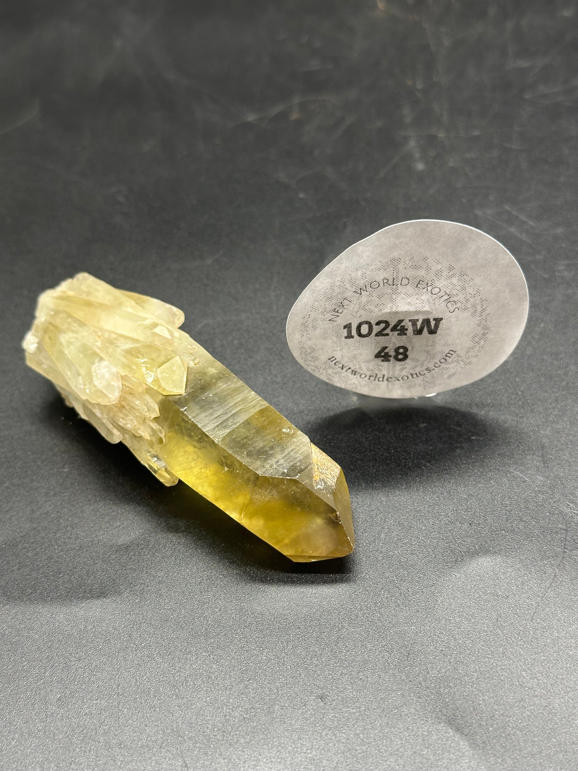 Natural Citrine, Raw (1024W48) crystal with a round label, displayed prominently on a surface, showcasing its raw, unpolished texture.