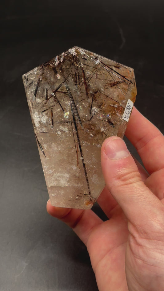 Black Rutilated Quartz (1212W25)