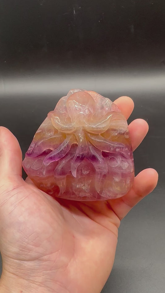 Fluorite Octopus Carving (815W03)