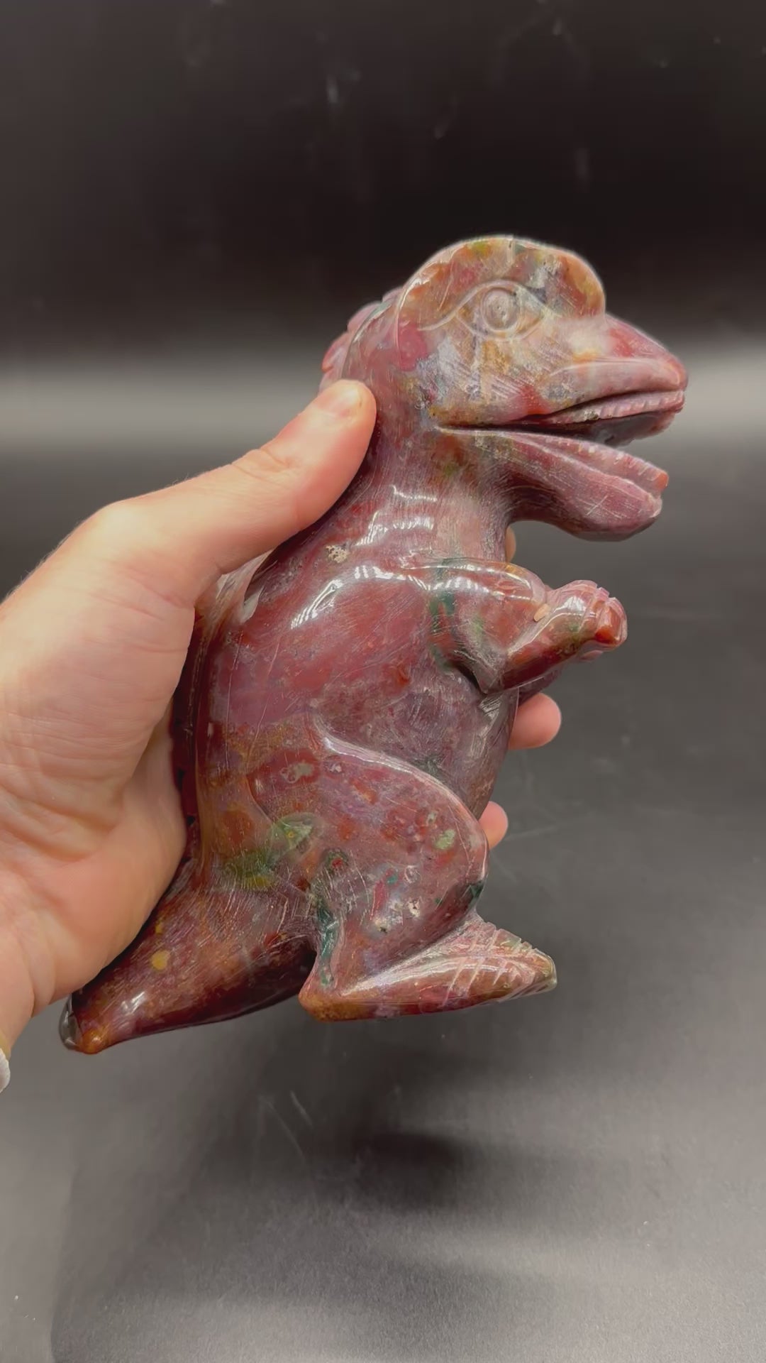 置物 Rare Species Ocean Jasper T-Rex (815W08) – Next World Exotics
