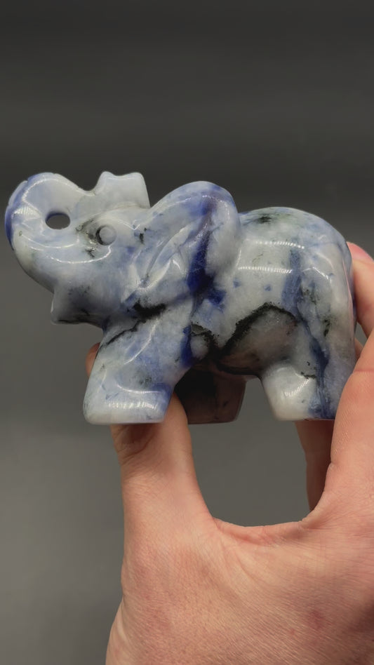 Sodalite Elephant Carving (220W21)