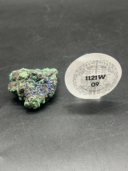 Raw Azurite (1121W09), a green-blue rock, displayed with a round white sticker featuring black text and numbers, measuring 4.8 inches in length.