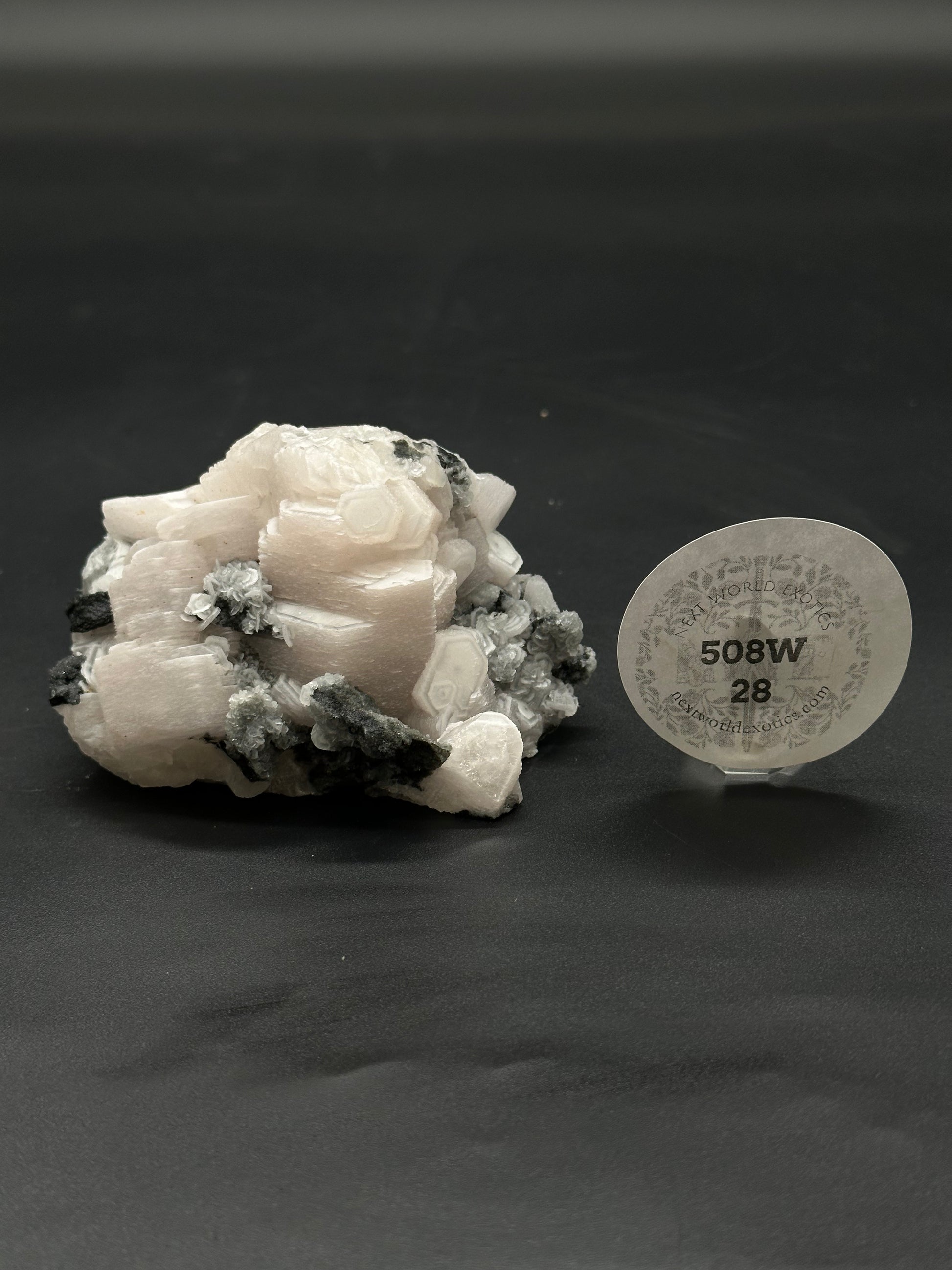 Raw Coin Calcite (508W28) crystal with natural, rough texture, showcasing its unique, layered formation, perfect for mineral enthusiasts or collectors.