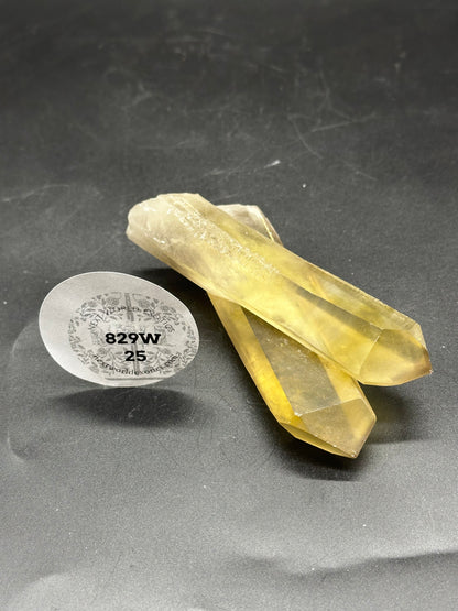 Natural Raw Citrine (829W25) - A pair of raw yellow citrine crystals alongside a round white sticker with numbers and a tree design.