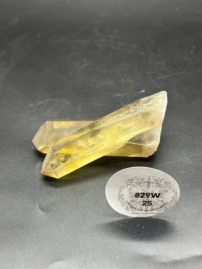 Natural Raw Citrine (829W25) - A pair of raw yellow citrine crystals next to a round white tag with black text and numbers.